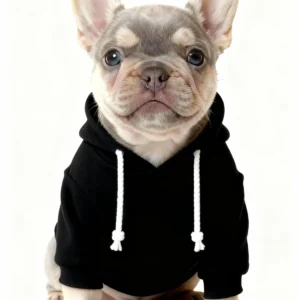adidas dog hoodie black front view