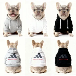 adidas dog hoodie worn by dog