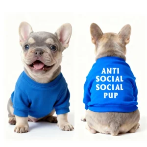 anti social social club dog sweatshirt blue