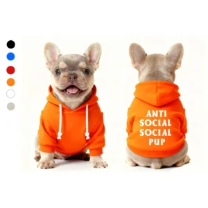 anti social social club dog hoodie orange