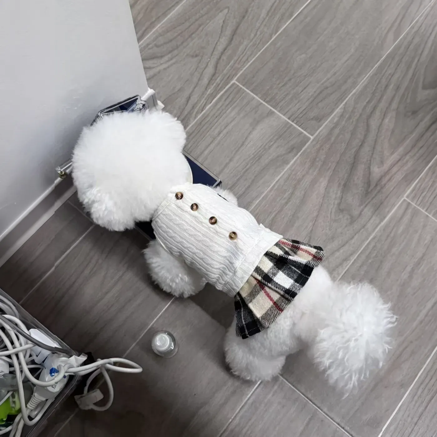 ralph lauren dog cardigan dress white back