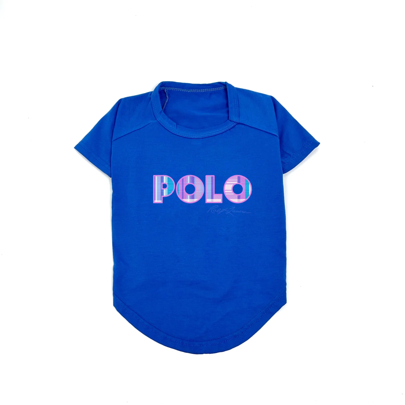 ralph lauren polo dog t-shirt blue front