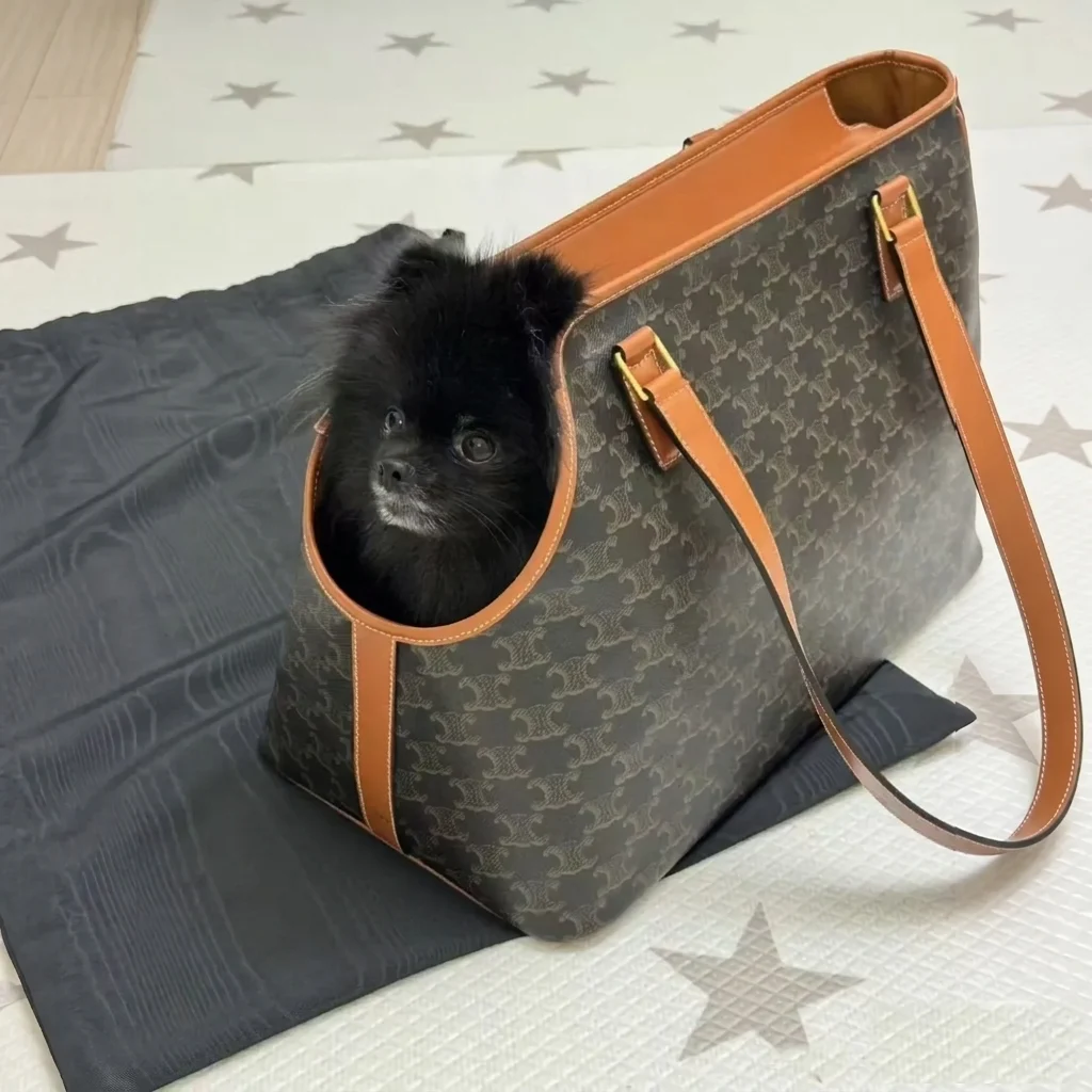 Chewline Triomphe Monogram Designer Dog Carrier Tote