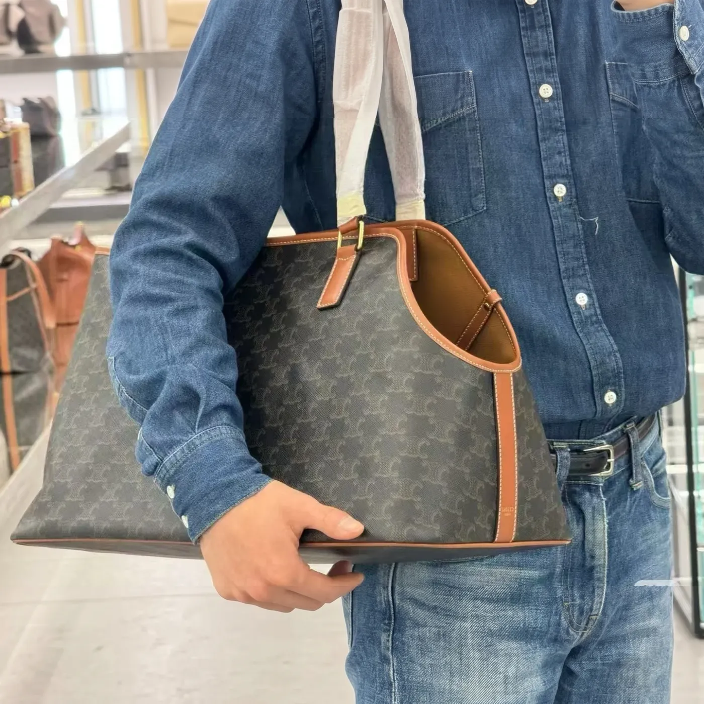 celine dog carrier tote brown lifestyle
