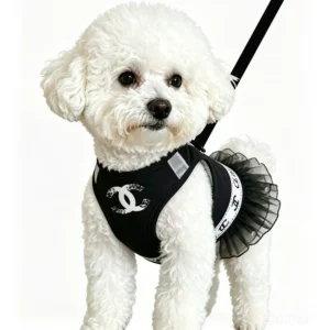 chanel dog harness tulle skirt black worn