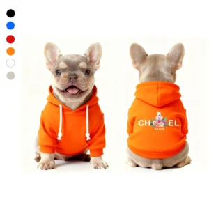 chanel dog hoodie orange front and back