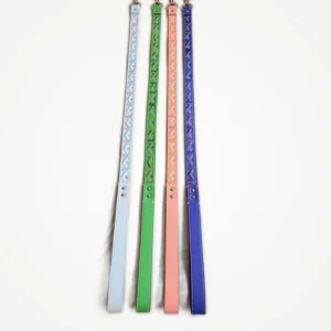 goyard dog leash set multicolored front view