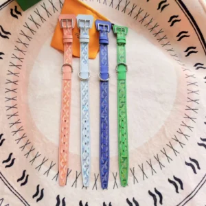 goyard dog collar multicolored buckle view