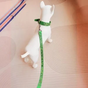 goyard dog collar set green worn by dog