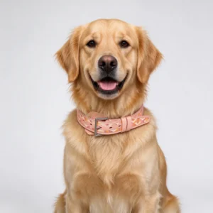 goyard dog collar set peach worn by dog