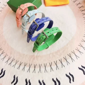 goyard dog collar leash chevron print detail