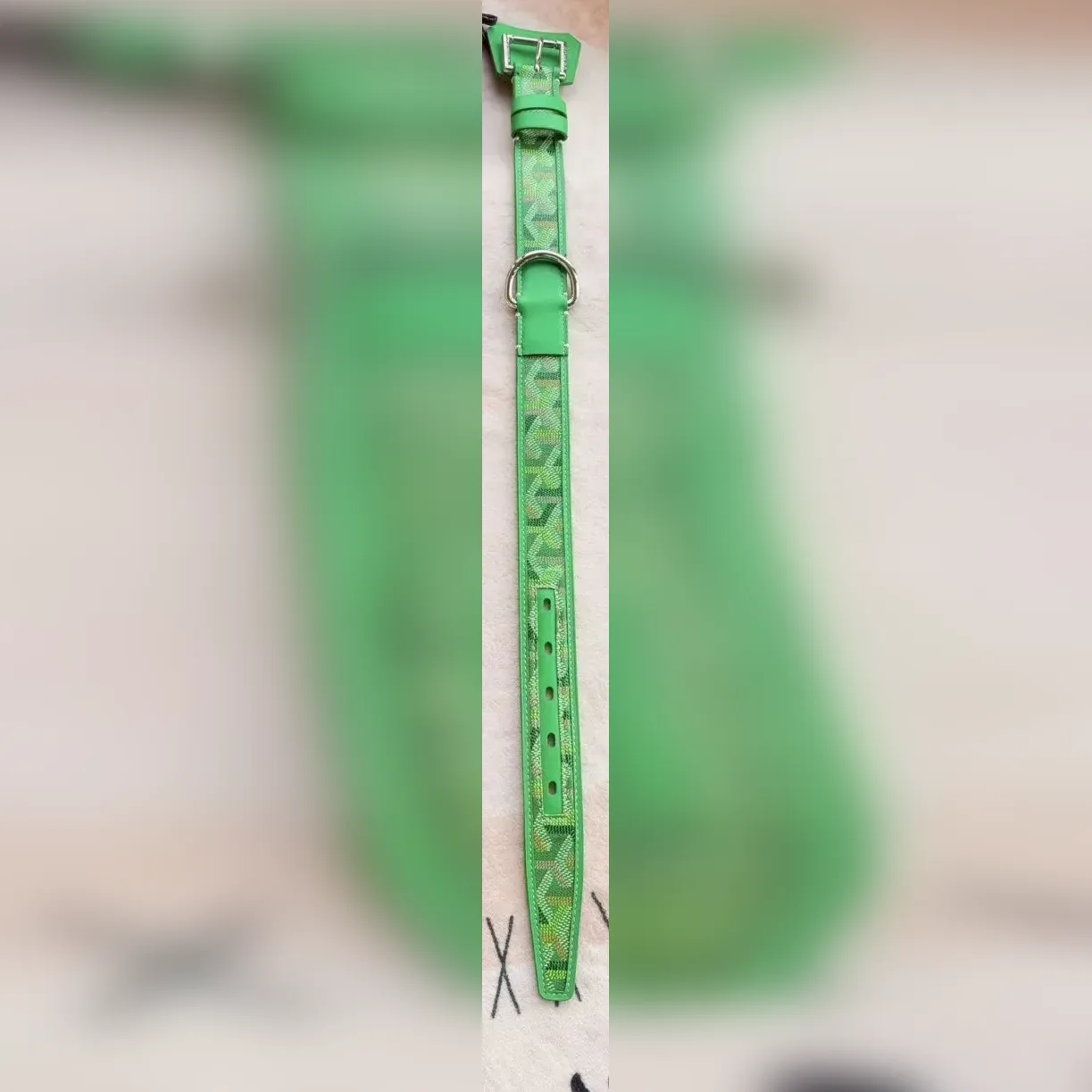 goyard dog collar and leash set green