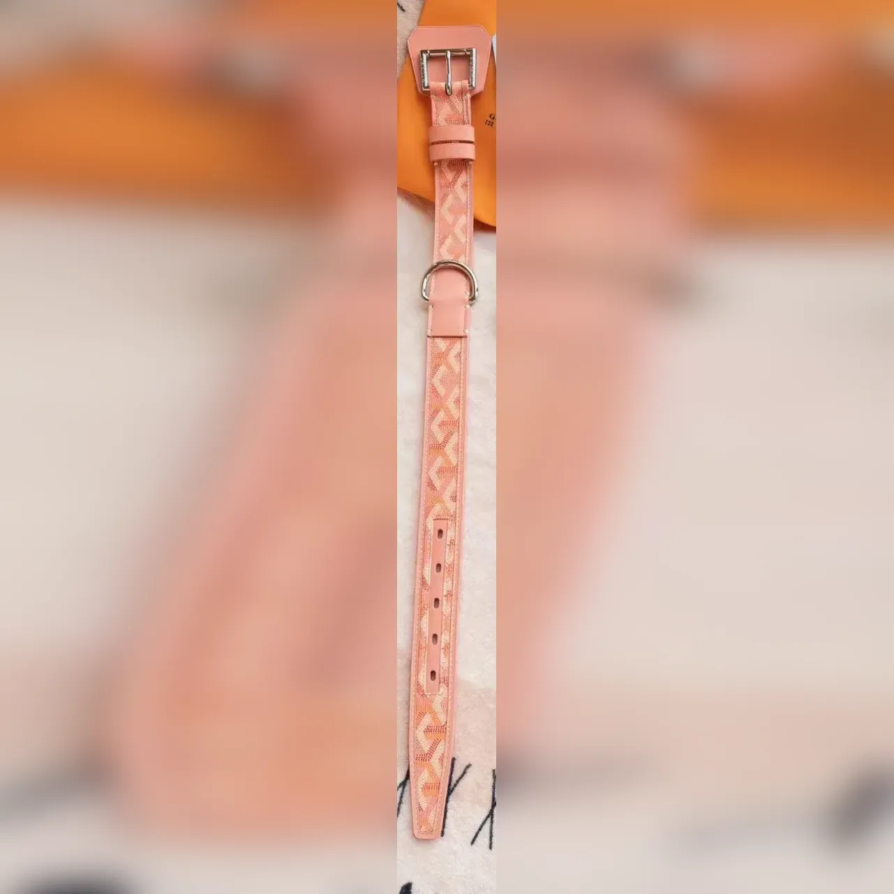 goyard dog collar and leash set peachy