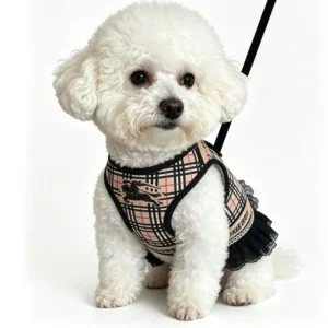 burberry dog harness dress beige on dog