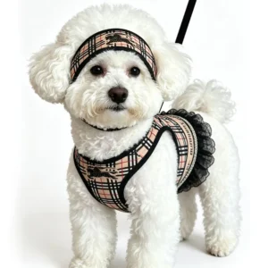burberry check dog harness dress worn by dog