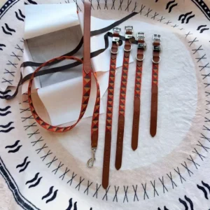 Hairmes Triangle Weave Designer Dog Collar and Leash Set