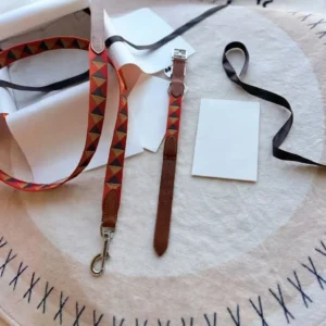 Hairmes Triangle Weave Designer Dog Collar and Leash Set