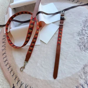 Hairmes Triangle Weave Designer Dog Collar and Leash Set