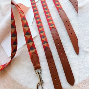 Hairmes Triangle Weave Designer Dog Collar and Leash Set