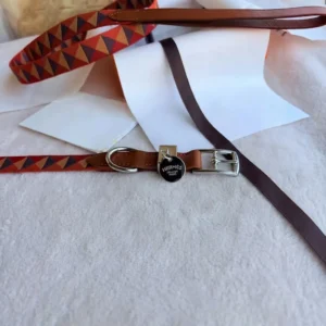 Hairmes Triangle Weave Designer Dog Collar and Leash Set