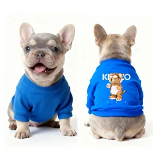 kenzo dog sweatshirt blue tiger bear back