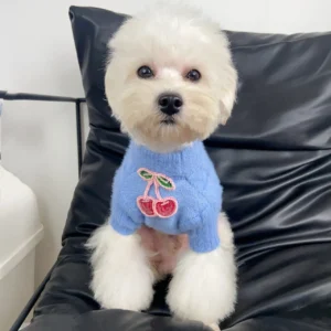 blue miu miu cherry dog sweater worn