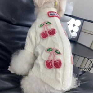 miu miu dog sweater cream white on dog