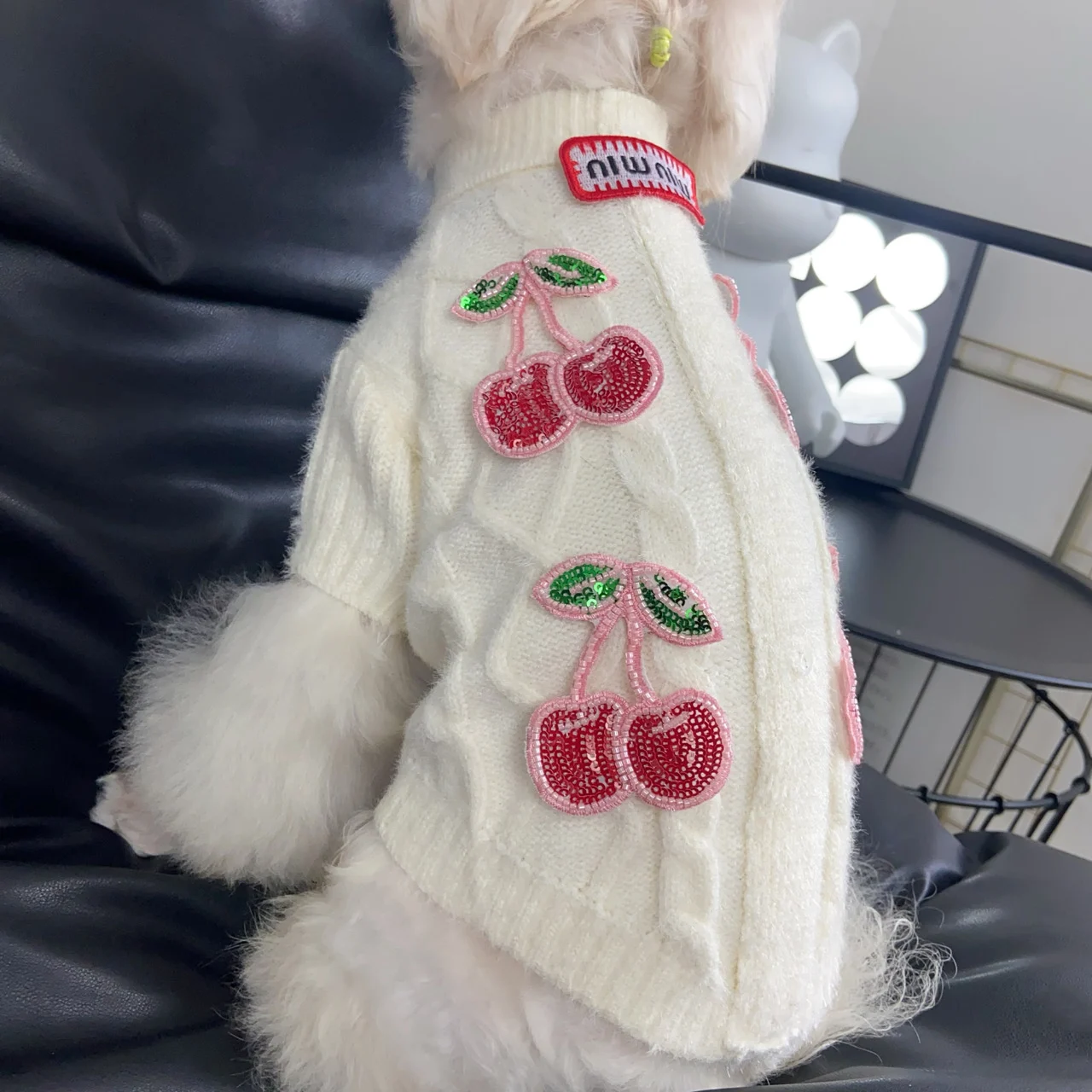 miu miu dog sweater cream white on dog