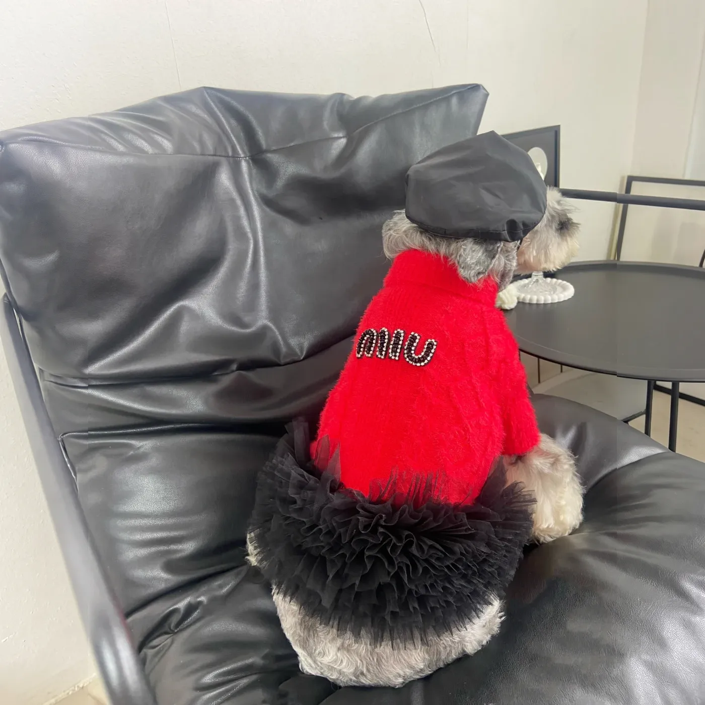 miu miu dog sweater dress logo patch