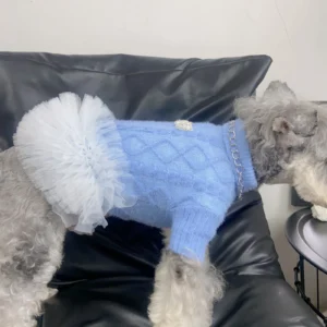 miu miu dog sweater dress back view