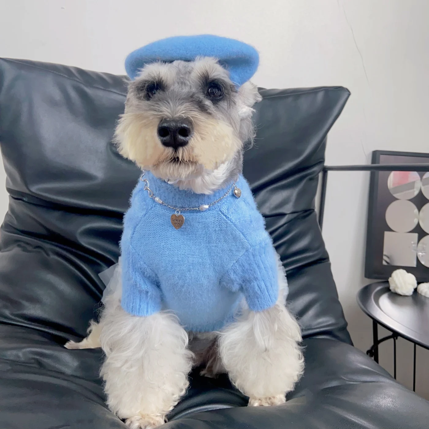 miu miu dog sweater dress turtleneck collar