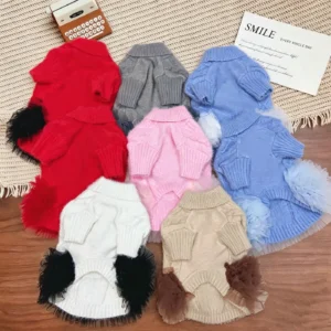 miu miu dog tutu dress close up