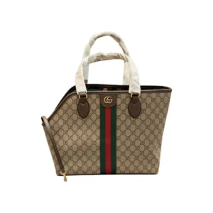 gucci dog carrier tote beige front view