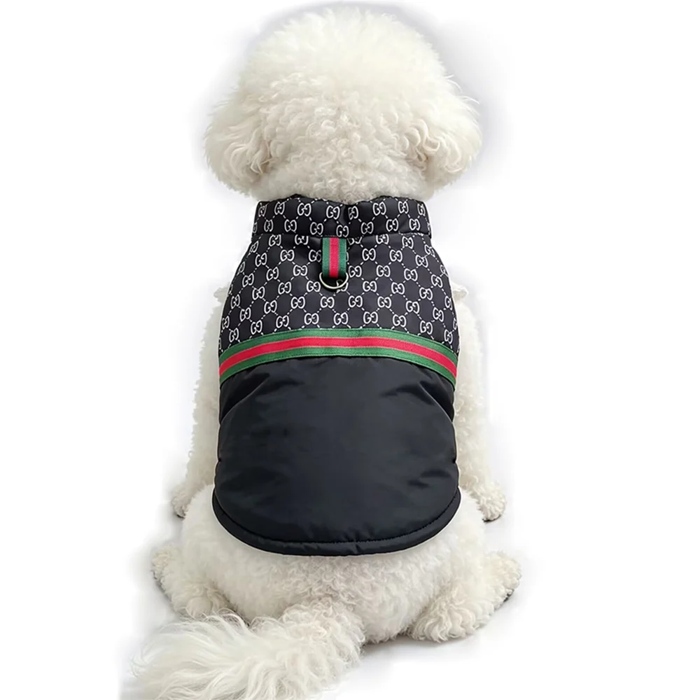 gucci padded dog vest black on dog