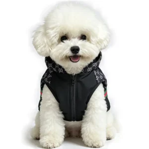gucci monogram dog vest black worn