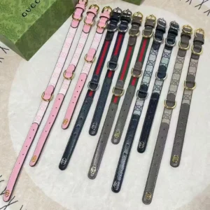 gucci dog collar and leash multicolored lifestyle