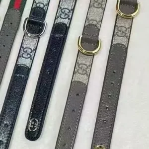 gucci dog collar and leash set beige