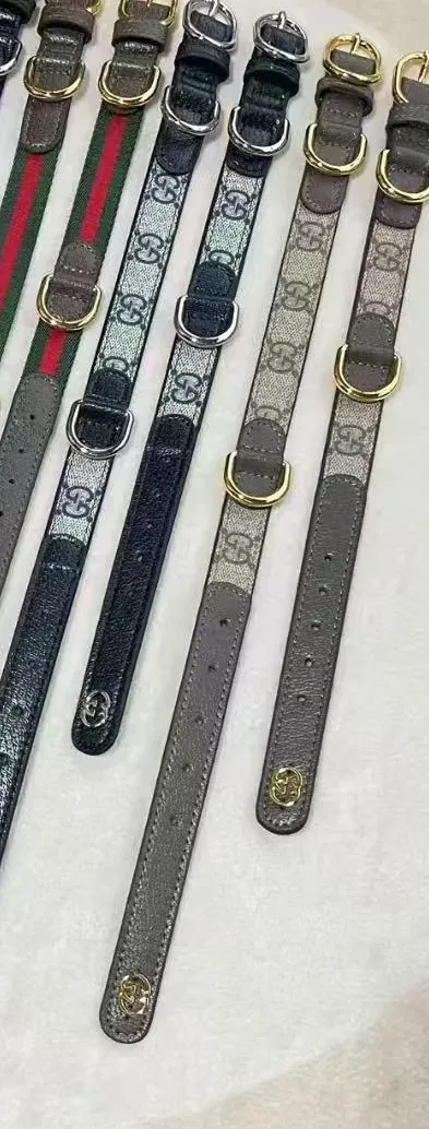 gucci dog collar and leash set beige