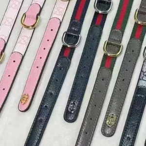 gucci dog collar and leash set black