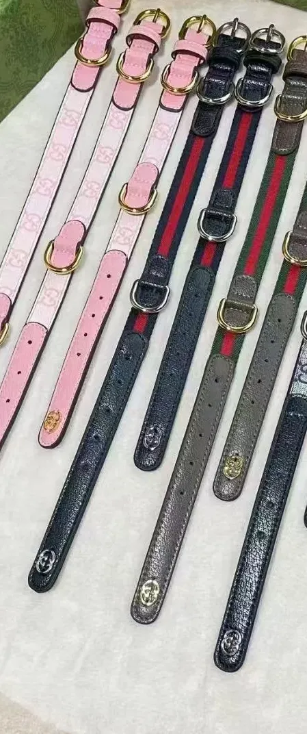 gucci dog collar and leash set black