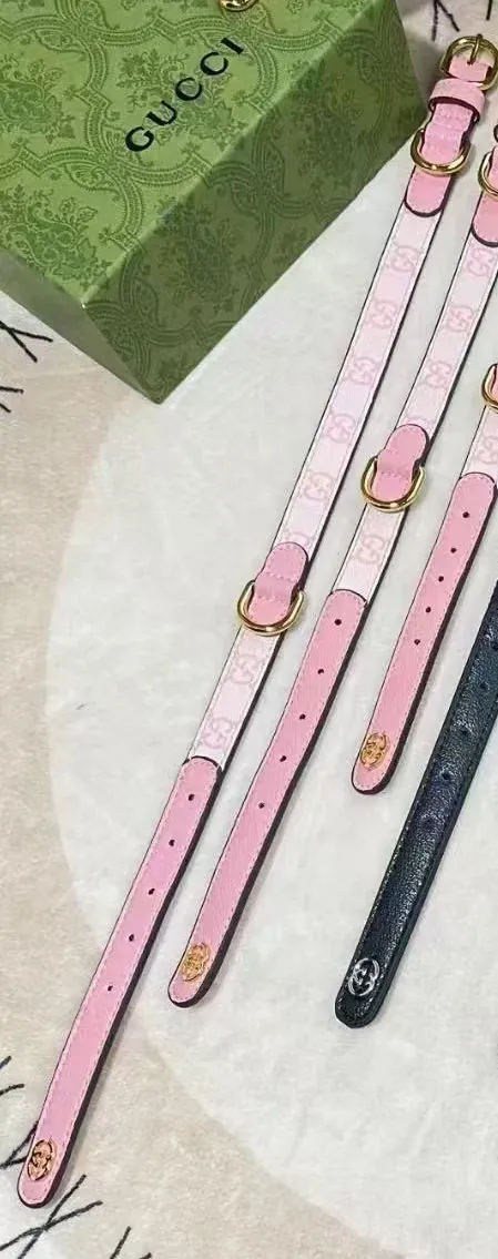 gucci dog collar and leash set pink