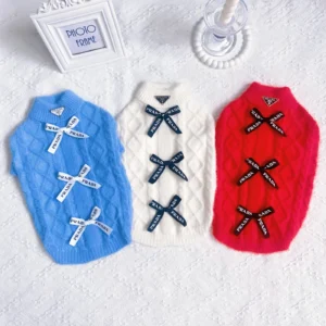 prada dog sweater multicolored lifestyle photo