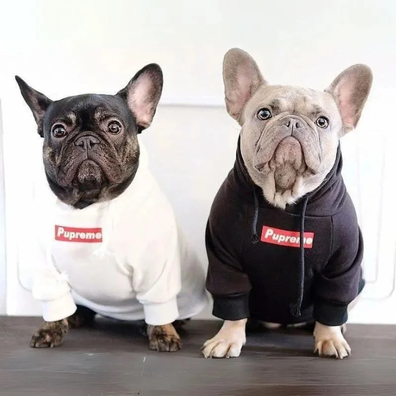 supreme dog hoodie white and black on dogs