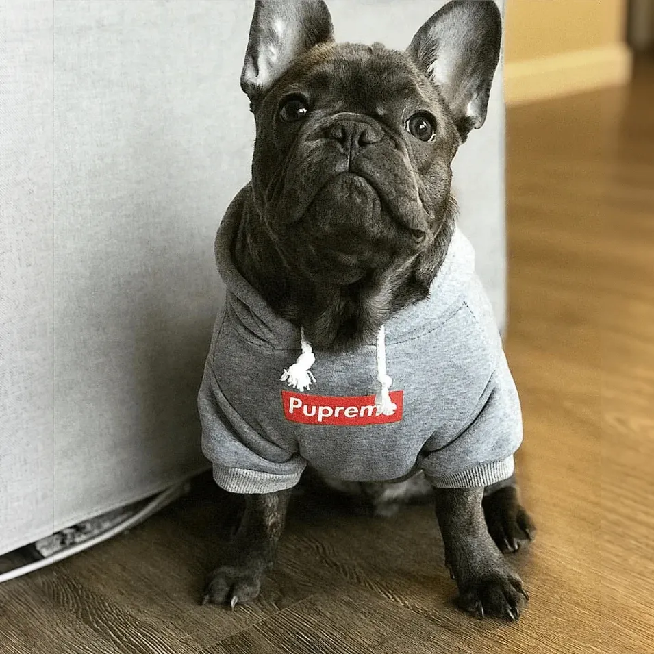 supreme dog hoodie gray side view