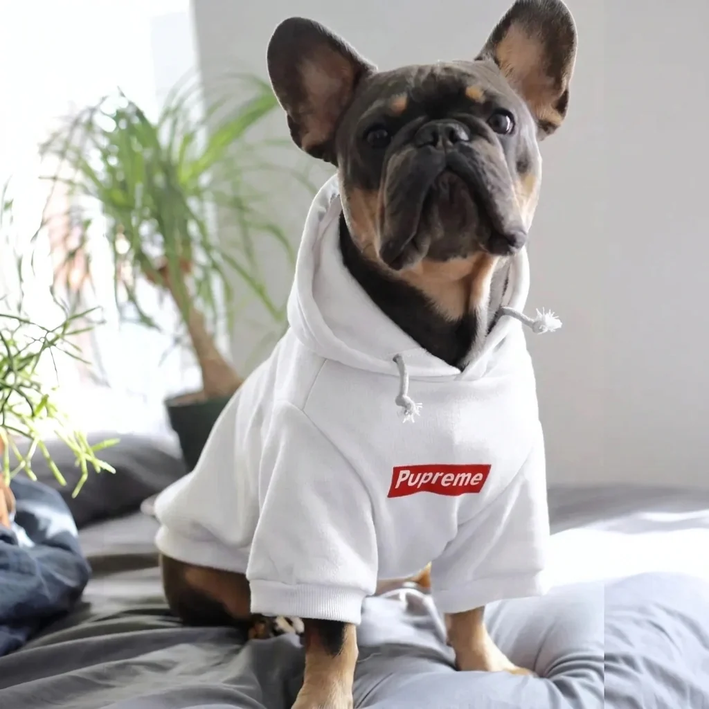 Pupreme Red Box Logo Designer Dog Hoodie in white